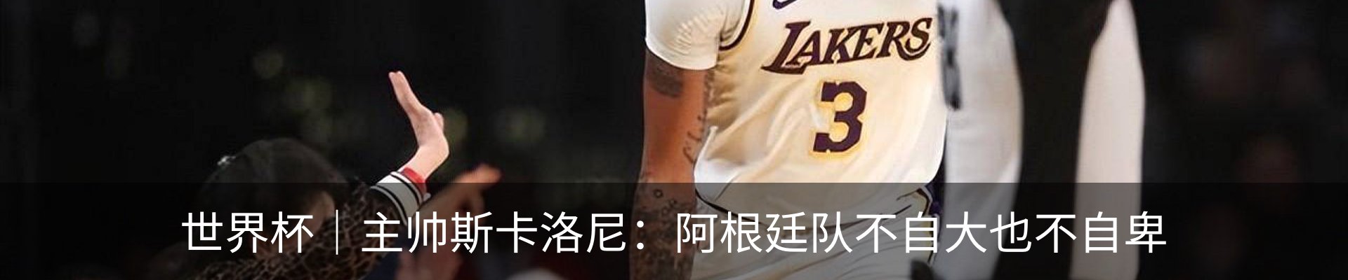 最新动态