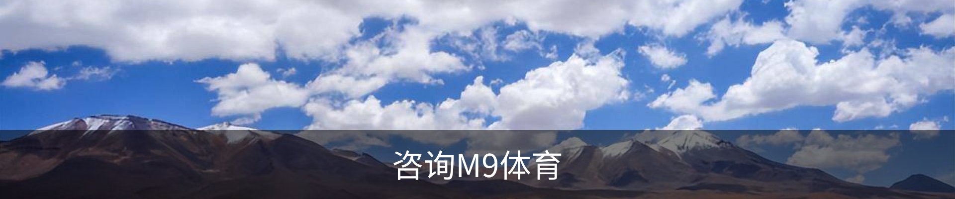 咨询M9体育