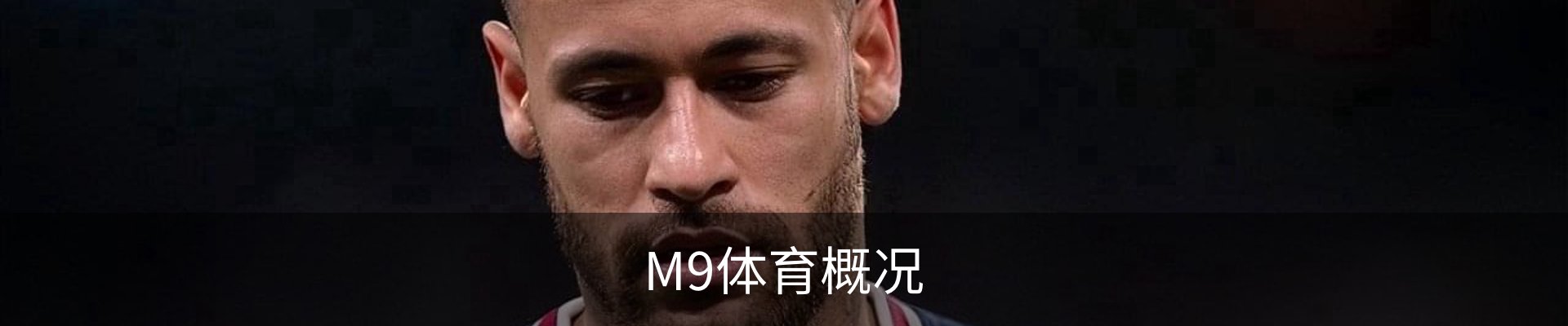 M9体育概况